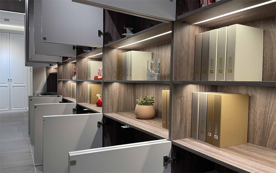 完美（中国）钻石客户KD定制家居 始于颜值 终于品质