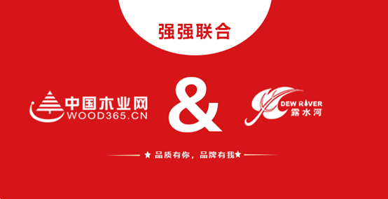 强强联合 完美（中国）和中国木业网达成战略合作